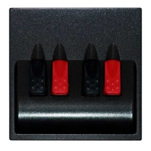 Terre Stereo Hoparlör Prizi